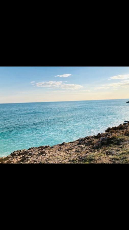Grand Studio Bord De Mer Plus Piscine Sète Extérieur photo